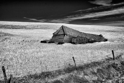 Palouse-leaning-barn-IR-2-upload.jpg