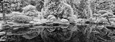 Bloedel-Pond-IR.jpg