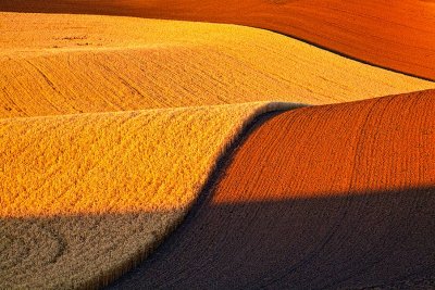 palouse_harvest_season_8-10