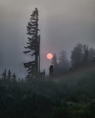 foggy-sunrise.jpg