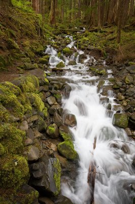 Down-stream-1-upload.jpg