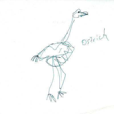 4 second drawing #2: ostrich