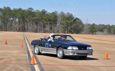 DSC_5065.jpg