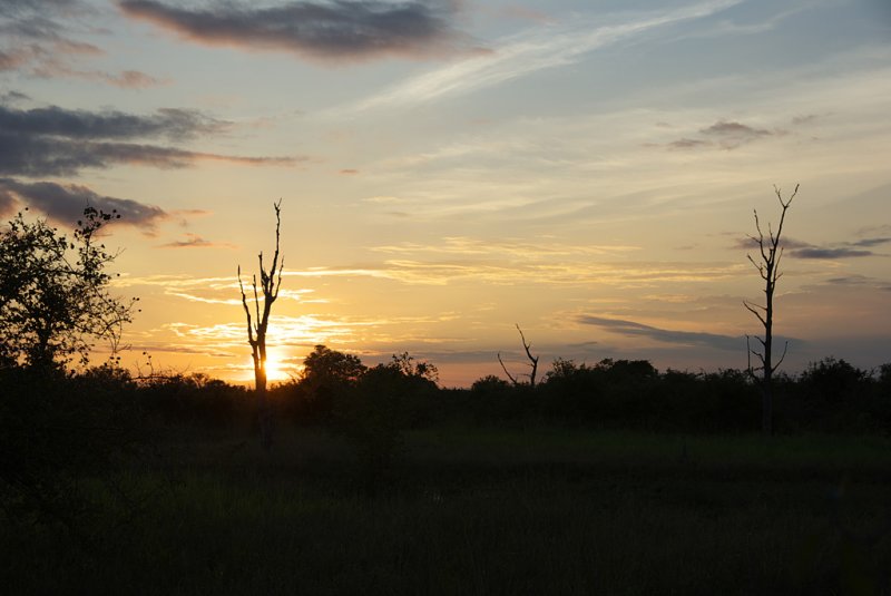 South Luangwa NP