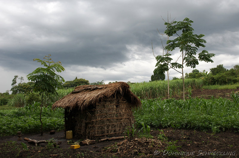 Bigodi Wetland Sanctuary