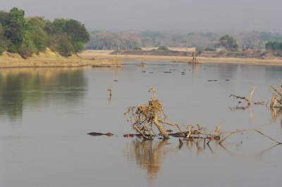 Luangwa River