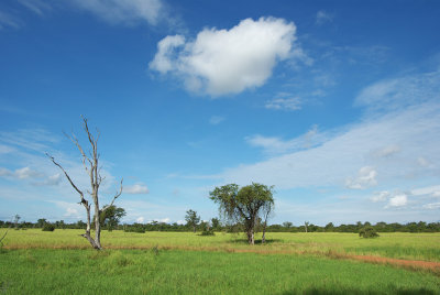 South Luangwa NP