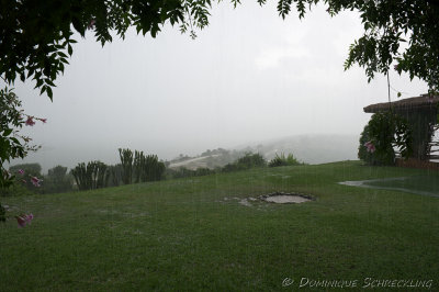 Heavy rain at Mweya