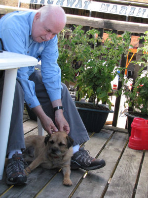 Arnie on our balcony