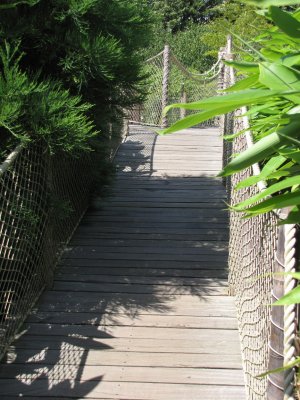 a view of the grounds 2009