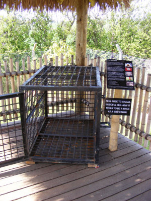 sun bear signage, 2008