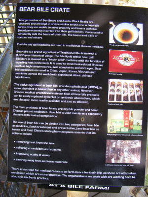 sun bear signage, 2008