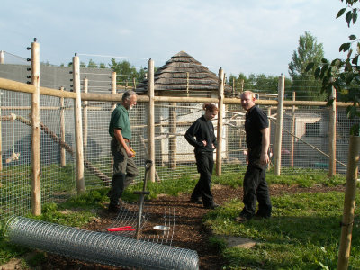 building lemur exhibit 2008