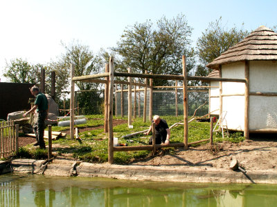 constructing lemur exhibit 2008