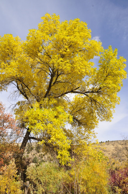 cherry springs smallfile _DSC2977.jpg