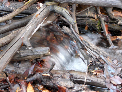 Tiny Waterfall on City Creek P1030036.jpg