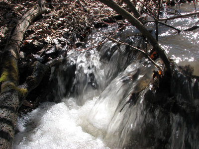 City Creek - one of many mini waterfalls IMG_1211.jpg