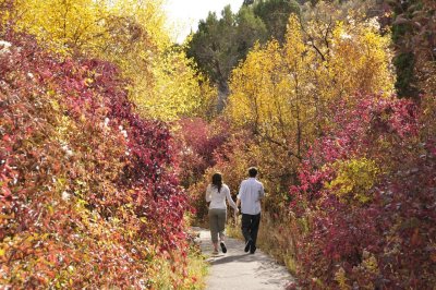 Hikers at Cherry Springs _DSC2954.jpg