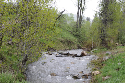 Springtime at Inman Creek Inkom _DSC3753.jpg