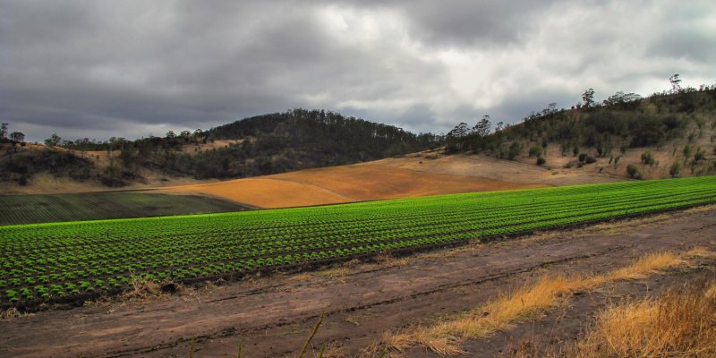 Fertile farmland - Richmond