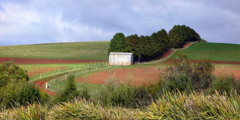 Central North Farmland