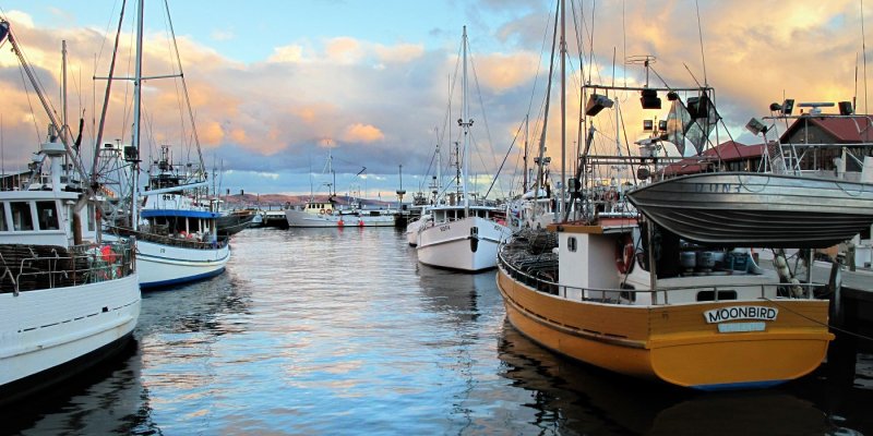 Waterfront - Hobart city