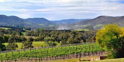The Yarra Valley ~