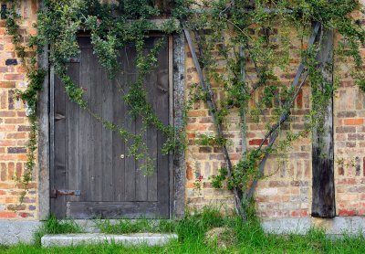 Door with vine growth