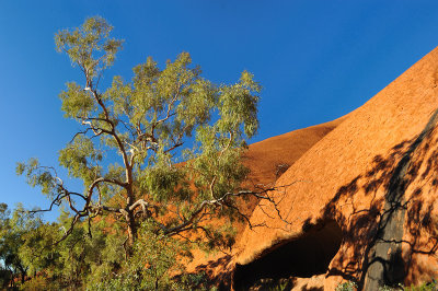 Uluru landscape 4