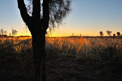 Outback sunrise 2