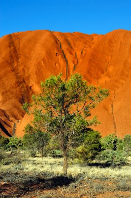 Uluru landscape 6
