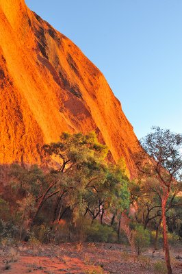 Uluru landscape 8