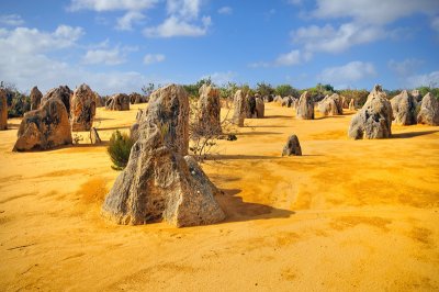 The Pinnacles -Western Australia