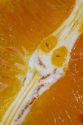 The face in the orange slice ~*