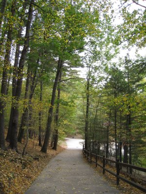 Walden Pond - Concord, Mass.