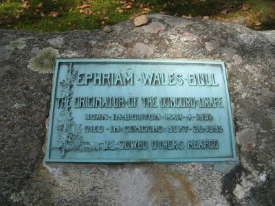 Ephraim Wales Bull - Sleepy Hollow Cemetery - Concord, Mass.