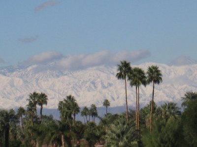 The Day After - Snow in Palm Desert, California