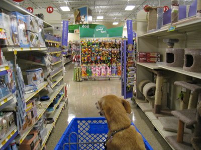 I'd love to do some cart racing down the aisles...