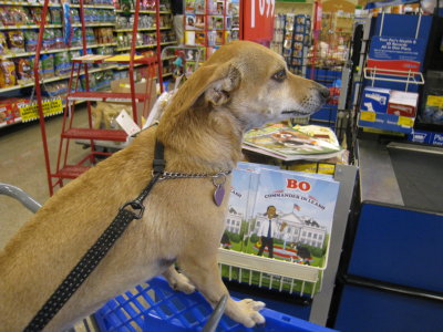 At the check-out stand, I met up with Bo, Commander in Leash, again...
