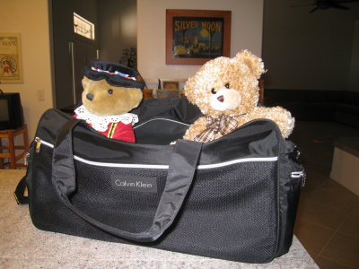 I'm all packed up to go home. I have 2 new friends - Teddy and a Beefeater, who will protect me, I hope.