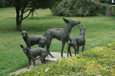 Xoloitzcuintle dogs and sculpture, Museo Dolores Olmedo Patio