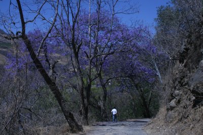 cobblestone road to Agua Blanca
