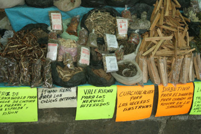 outdoor herbal market, Pátzcuaro