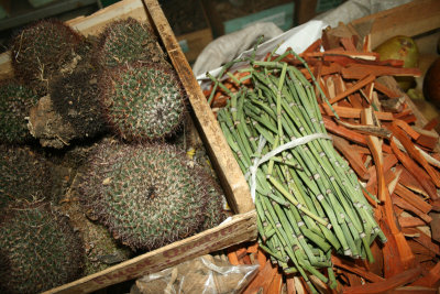 cactus, horsetails and sandalwood, market, Morelia