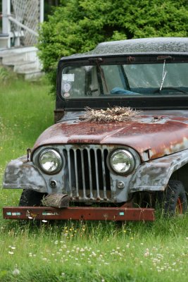 once was a jeep