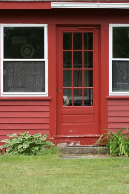 attack poodle behind door