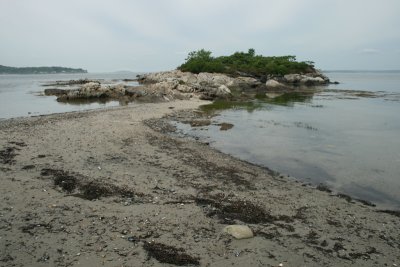 Bennett's Cove at low tide