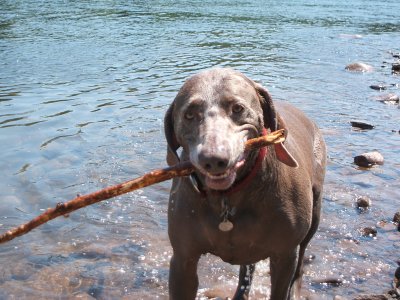 Delaware River, 2007