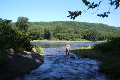 Beaverdam Creek/Delaware River, 2007