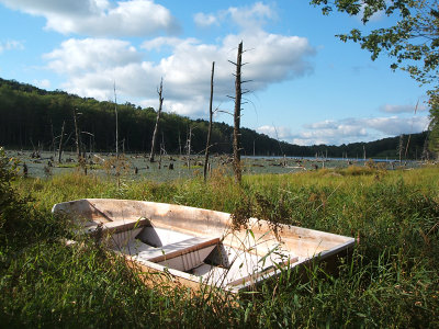 unnamed pond, Dyberry, 2007